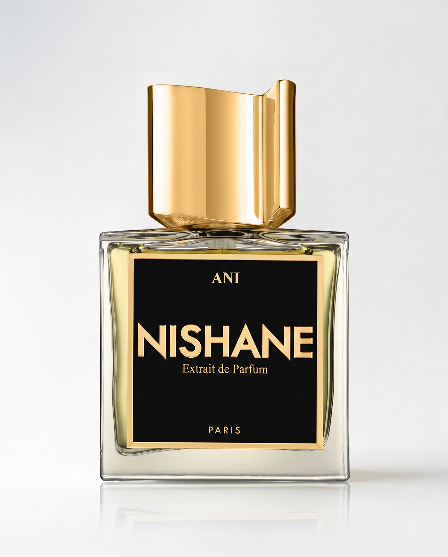 Nishane Ani