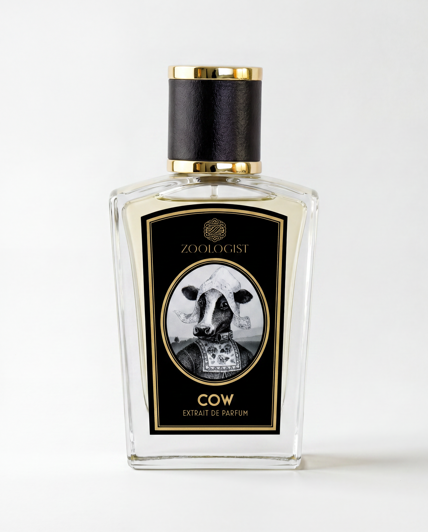 Zoologist Cow